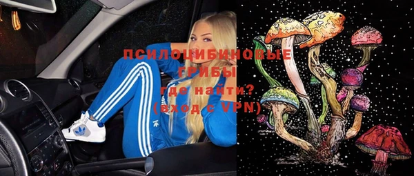 ECSTASY Дмитров