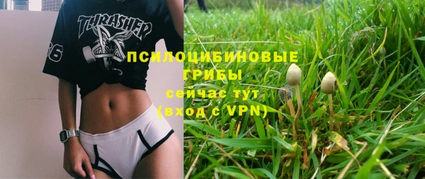 mix Дмитриев