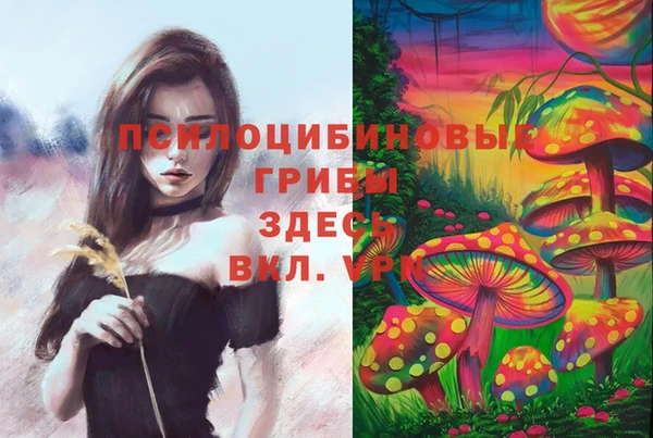 соль ск Дмитровск