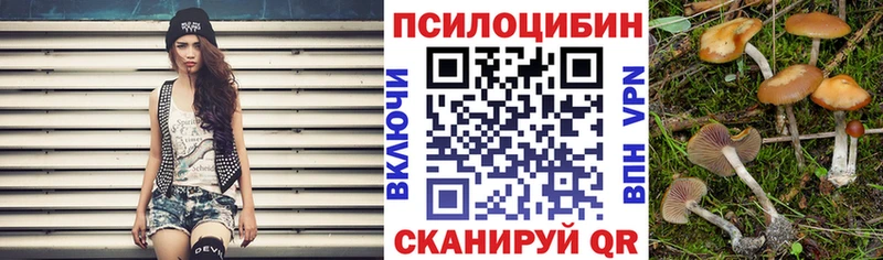 Галлюциногенные грибы мицелий  Купить  Бирюч 